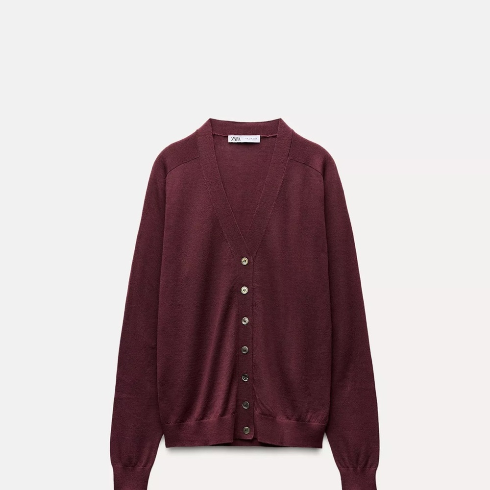 Zara Burgundy Sweater